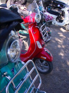 Many scoots.