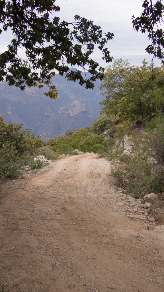 The hill, where it bends left is where the accident occurred.